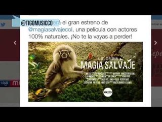#Trending: "Colombia Magia Salvaje": la biodiversidad en todo su esplendor