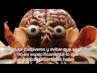 5 trabajos asquerosos que te harán amar tu oficina