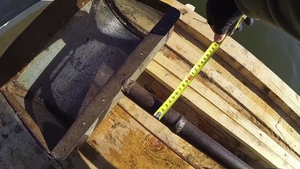 Как добыть(намыть) мотыля