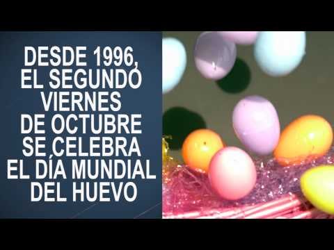 Cosas que no sabías de los huevos de gallina