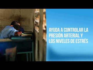 Estos son los grandes beneficios que trae hacer una siesta al medio día