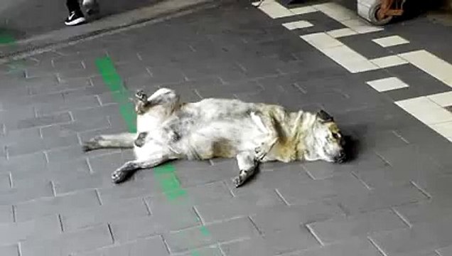 New 2016 После Тяжелого Рабочего Дня