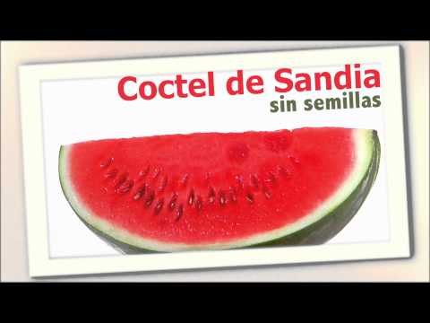 Recetas para hacer cocteles infantiles