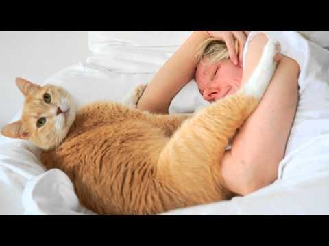 ¿Pueden las mascotas sentir nuestras enfermedades?