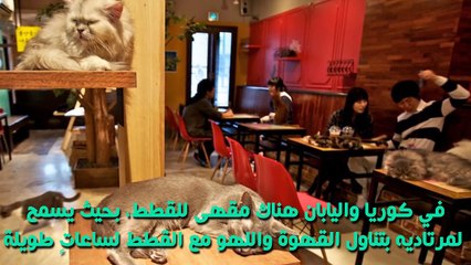 10 حقائق غريبة عن القهوة