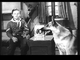 1950s MILK BONE DOG BISCUITS COMMERCIAL - RIN-TIN-TIN