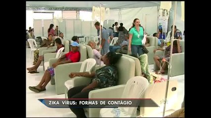 Zika vírus pode ser transmitido por relação sexual e transfusão de sangue