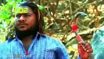 New 2016 South indian funny movie scene - tamil movies - hindi action movie