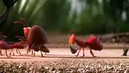 New 2016 Unity is strength - ekta mein bal hai