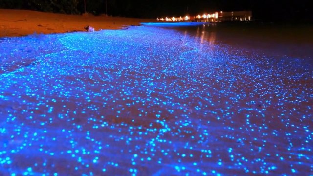 LOS FENÓMENOS NATURALES MAS INCREÍBLES DEL MUNDO/ ParteII