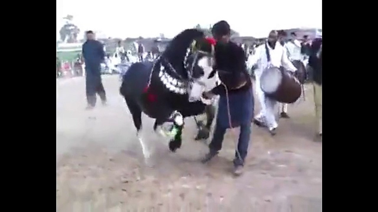 رقصة خاصة جدا
