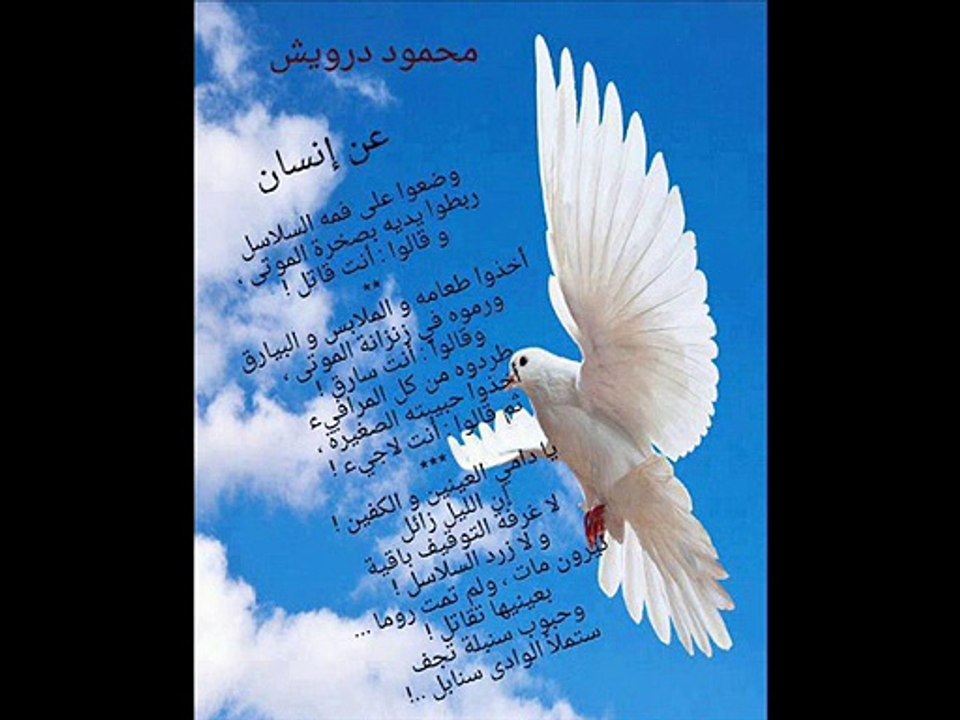 عن إنسان