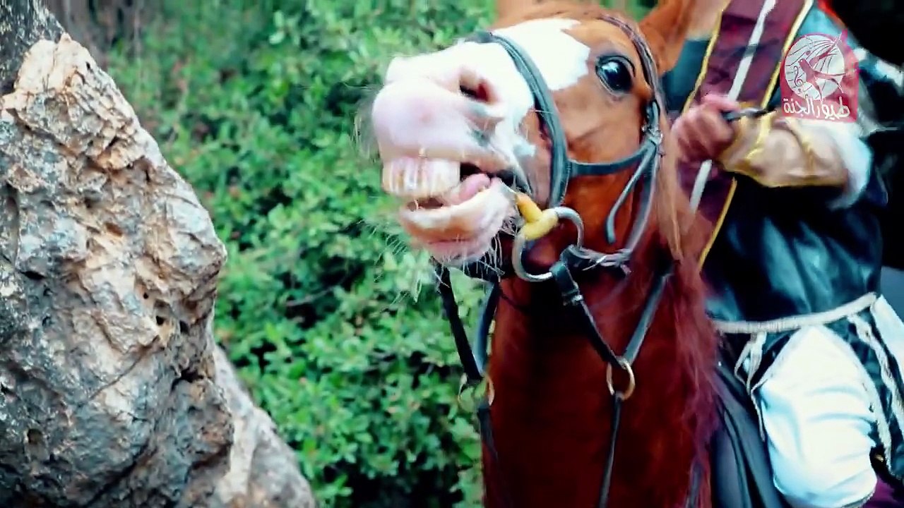 ثوار | المعتصم بالله & الوليد مقداد | جديد  طيور الجنة