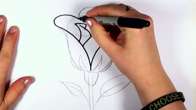How to Draw a Rose Easy Open Rose Art Tutorial CC