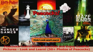 PDF Download  Peacocks Learn About Peacocks and Enjoy Colorful Pictures  Look and Learn 50 Photos PDF Online