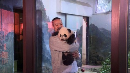 Le zoo de Washington présente son bébé panda au médias