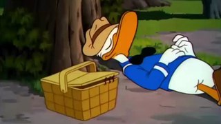 Donald duck cartoons full episodes 2015 Donald duck & Chip and dale Disney Movies Full