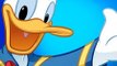 Chip and Dale ft Mickey Mouse cartoons-Donald Duck and Daisy Duck-Disney channel serries