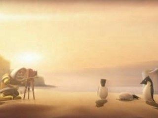 Les Pingouins Volent-Ils ?