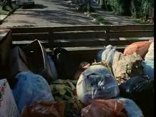 L'ile Aux Fleur (mondialisation)