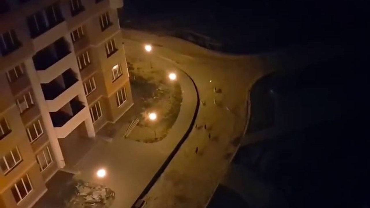 Jouer avec des chiens avec un laser depuis un immeuble