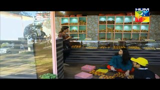 Mana Ka Gharana Episode 2 on Hum Tv in High Quality