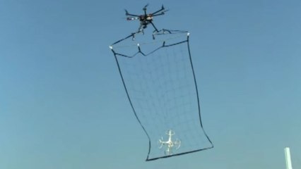 Negara Ini Bentuk Tim Khusus Anti Drone Ilegal