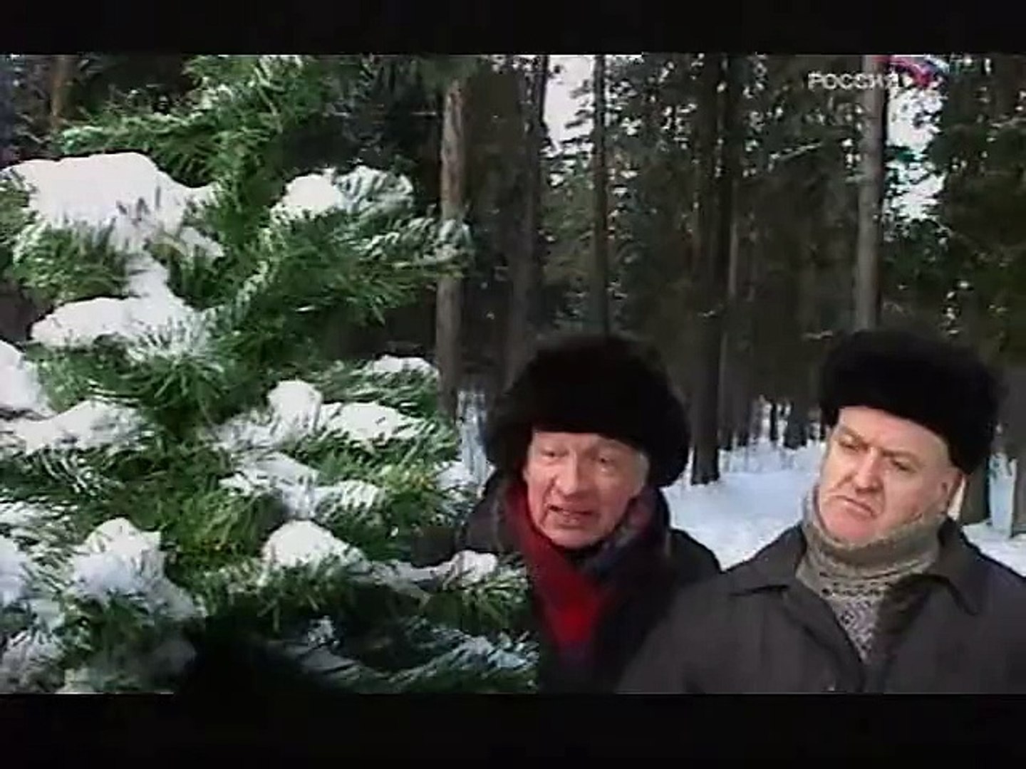 ⁣В лесу родилась ёлочка