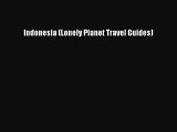 Indonesia (Lonely Planet Travel Guides) [Read] Online
