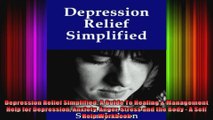 Depression Relief Simplified A Guide To Healing  Management Help for Depression Anxiety