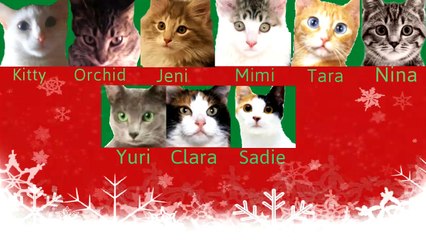 Eight Cats - Diamond (SNSD) CMV