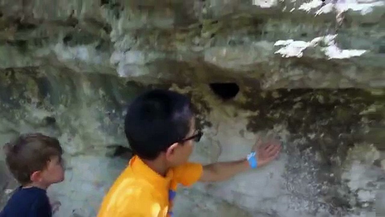 Crazy Scary Spider Hole