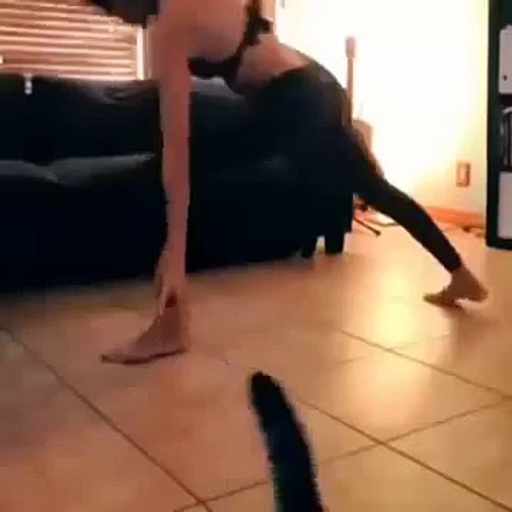 Meşhur Olmaya Çalışan Kedi ..