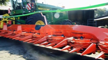Chopping 20 rows of corn with Kemper