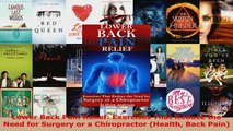 Download  Lower Back Pain Relief Exercises That Reduce the Need for Surgery or a Chiropractor Ebook Free