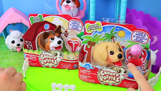 SUPER RARE Chubby Puppies Party with Surprise Toys Balloons & Cake for Dogs + Lavender Lab