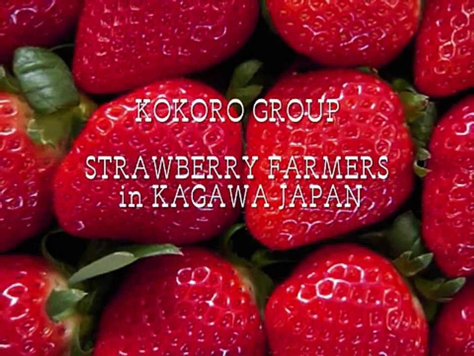 How to grow delicious strawberries