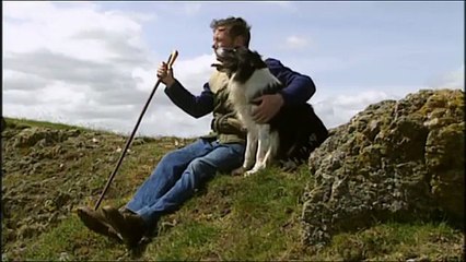 Johnny Wilson - Spot - One Man and His Dog