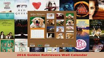 Read  2016 Golden Retrievers Wall Calendar EBooks Online