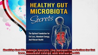 Healthy Gut Microbiota Secrets The Optimal Foundation for Fat Loss Abundant Energy And