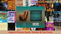 Read  Alpaca Picture Book Photos  Fun Facts EBooks Online