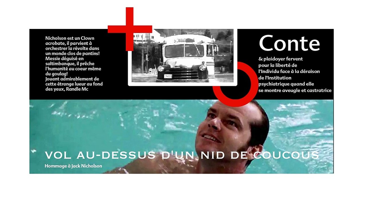 VOL AU-DESSUS DU DIKTAT DE L'INSTITUTION PSY ORDINAIRE