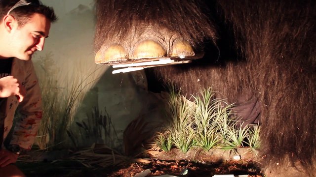 Et si un mammouth écrasait tout sur son passage - Reconstitution en Slow motion