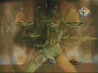 Juno Reactor - Pistolero