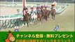 第60回 有馬記念出走予定馬 ゴールドシップ 2014年 阪神大賞典 1着 競馬予想参考データ「競馬レース結果ハイライト」