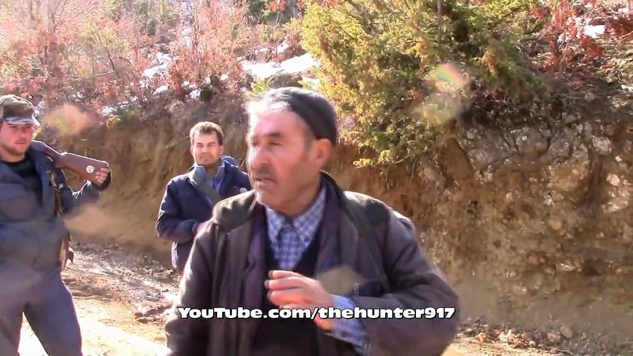Dev Gibi Azılı Domuz Avı Wild Boar Hunting