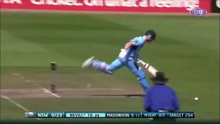 Two amazing runouts in cricket by Mathew wade and AB de villiers