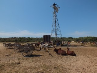 Route côtière du grand Sud :  Fort Dauphin - Anakao...