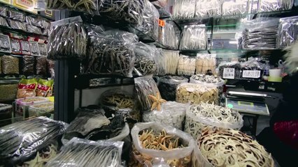 Sneak Peek: RACING EXTINCTION | Wed Dec 2 9/8c