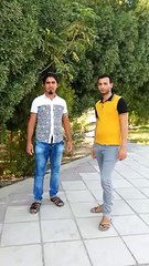 لقطة جميلة في النجف